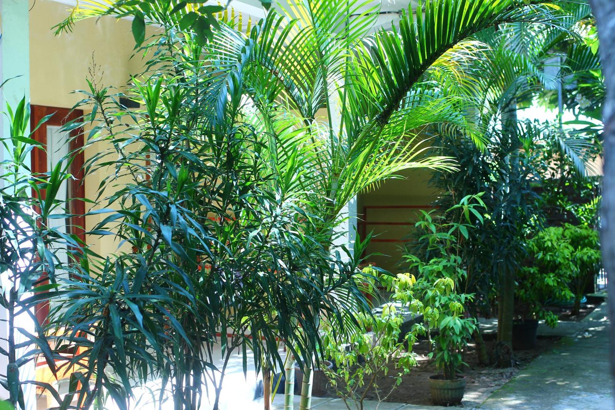 Three V Homestay Kuta  Exterior photo