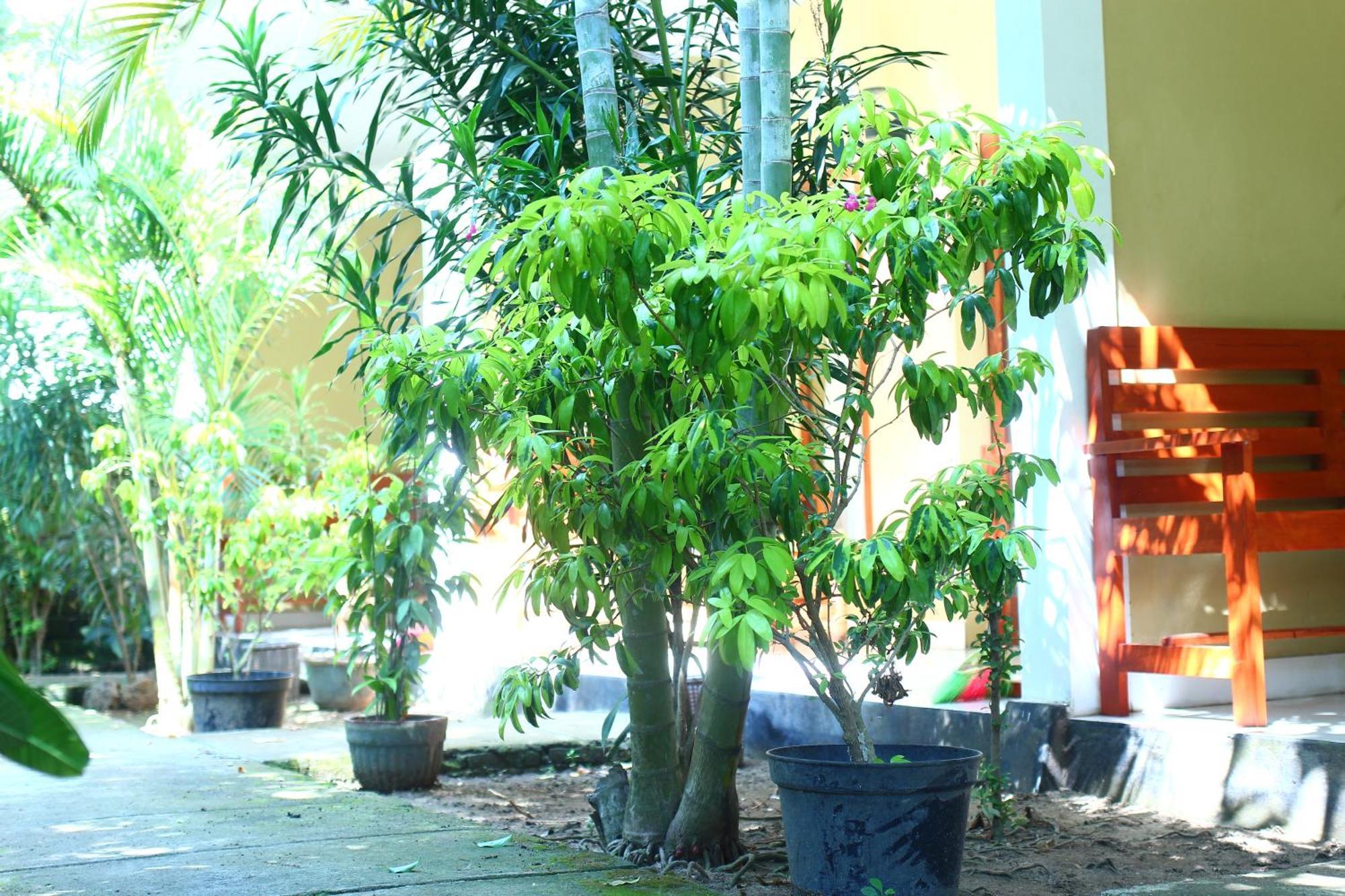 Three V Homestay Kuta  Exterior photo