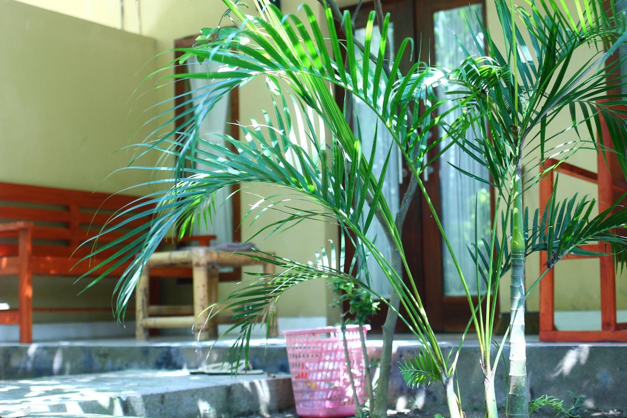 Three V Homestay Kuta  Exterior photo