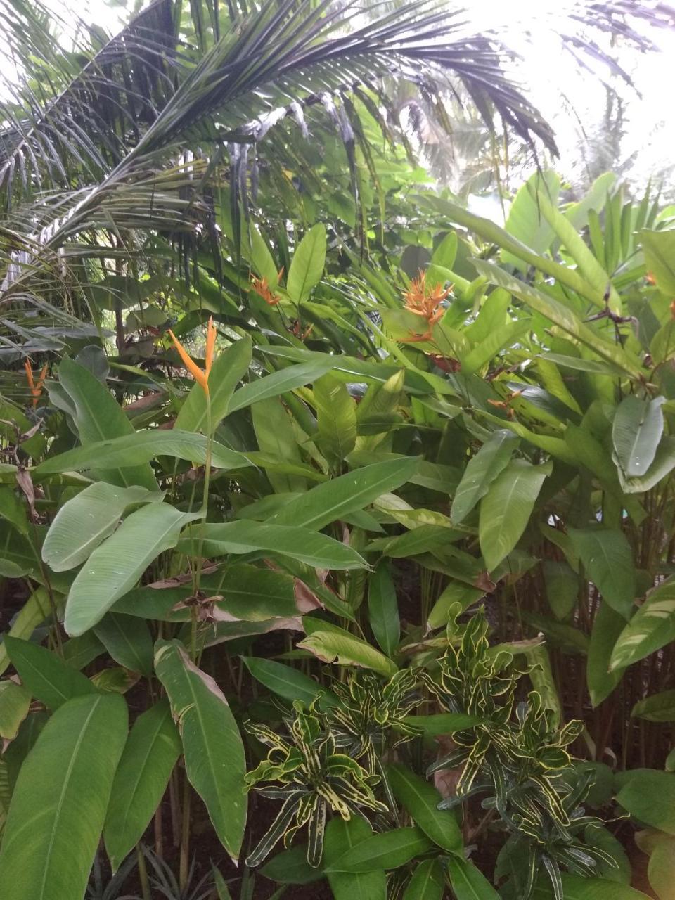 Three V Homestay Kuta  Exterior photo